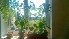 IMAG00373