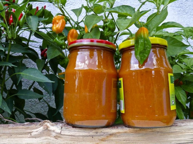 chilli - broskev om