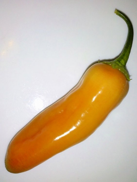 Aji