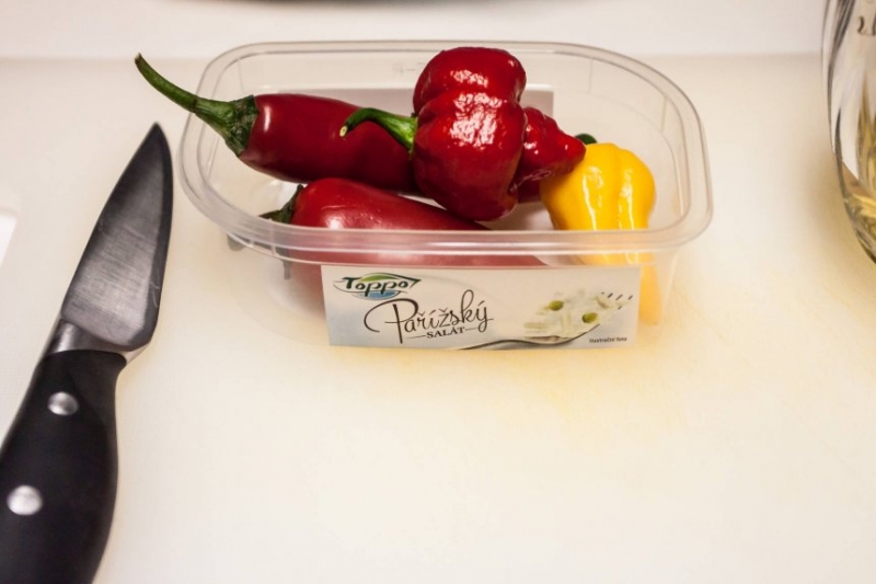 CHilli košt