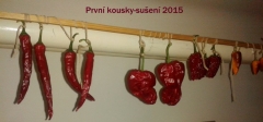 Sušenky 2015