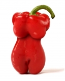 chilli Venus