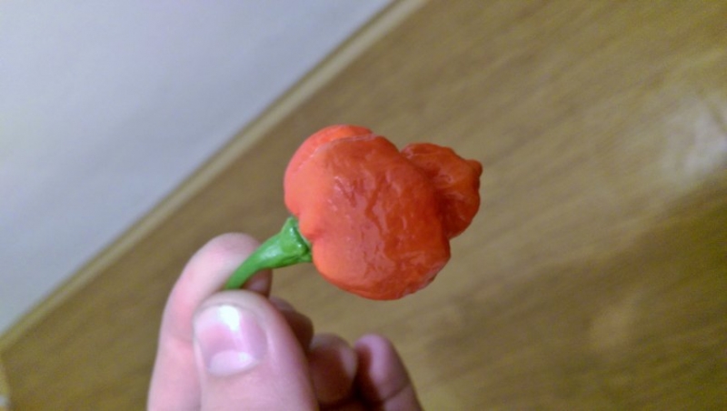IMAG00488