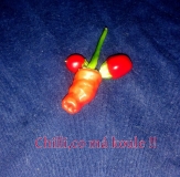 Chilli, co má koule