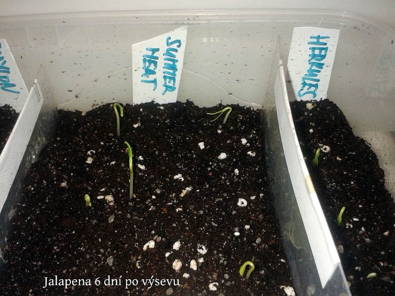 Jalapena 8.2.2016 14-01-14 2560x1920
