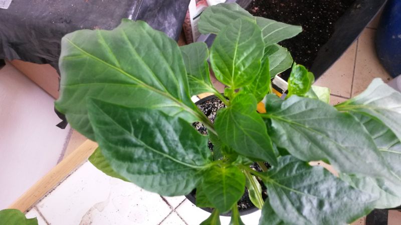20160423_205302