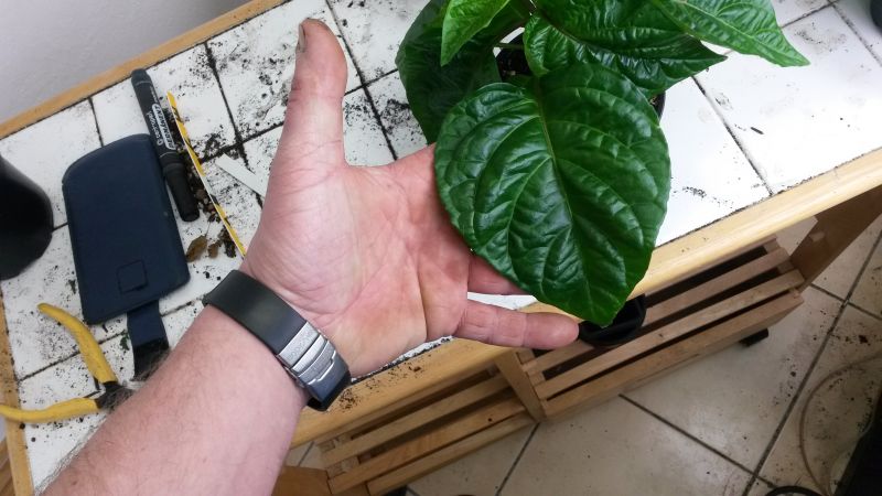 20160423_211245