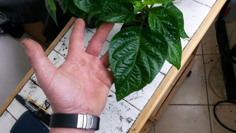 20160423_211245