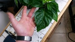 20160423_211245