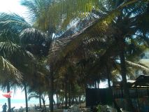 IMG_20160429_134646