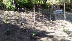 IMG_20160507_162816