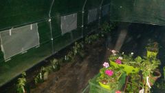 20160501_210224