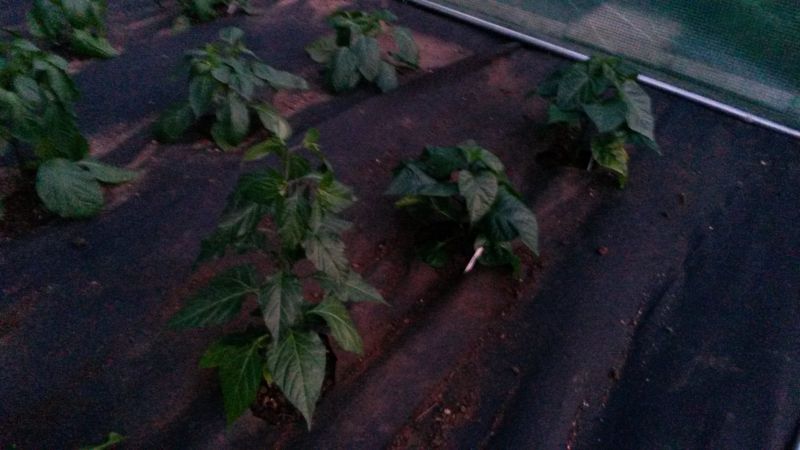 20160508_205211