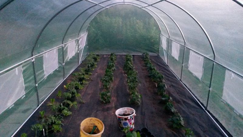 20160508_205211