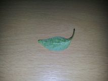 IMG_20160510_163658