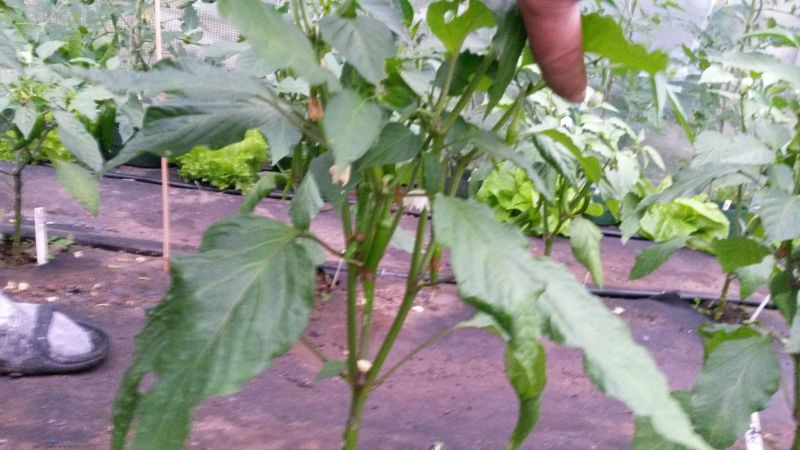 20160605_203213