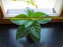 IMG_20160430_131634