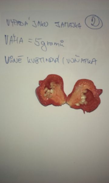 IMAG1868