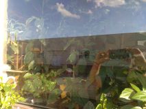 IMG_20160622_192721