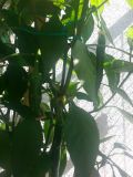 20160630_171123