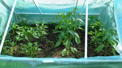IMG_20160626_171544