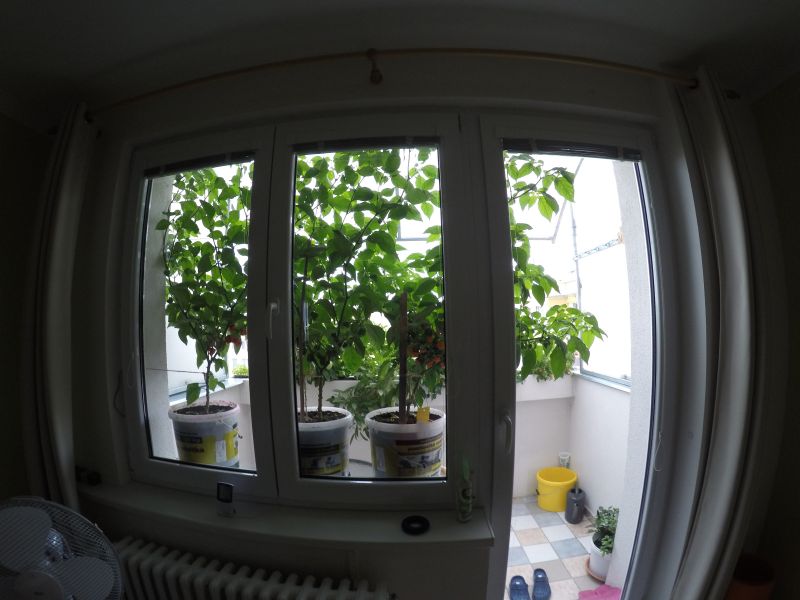 balkon 2