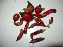 jalapeno&chilleDeArabol