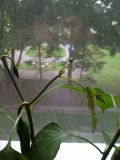 IMG_20160807_153533