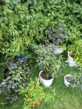 20160829_171557