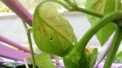 IMG_20160904_095814