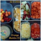 2016-09-23 Orange Mamba II.