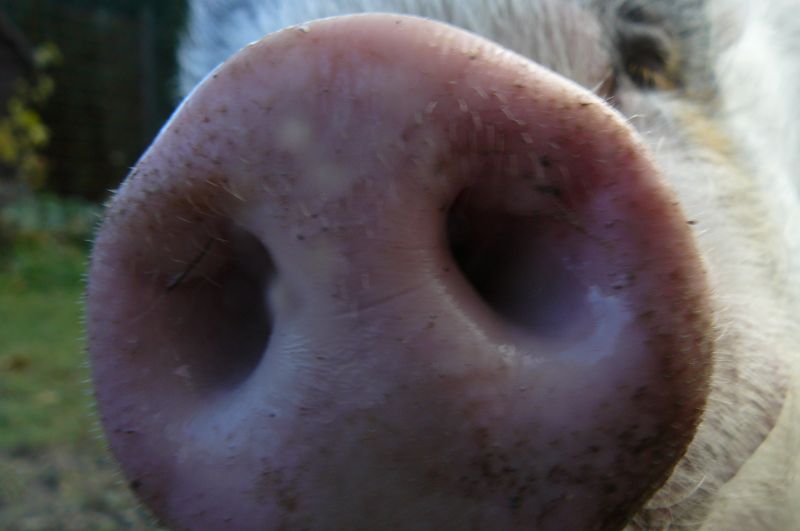 P1190516