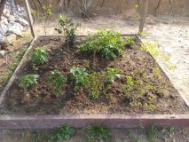 IMG_20170121_090345