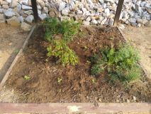 IMG_20170121_090416