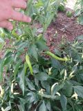 IMG_20170203_162256