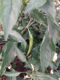 IMG_20170203_162240