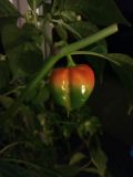 IMG_20170223_212504