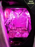 IMG_20170225_095037