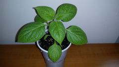 2017_03_07 (2) (1024x577)