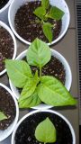 2017_03_07 (3) (1024x577)