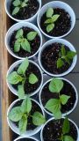 2017_03_07 (4) (1024x577)
