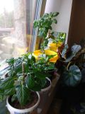 IMG_20170404_174903