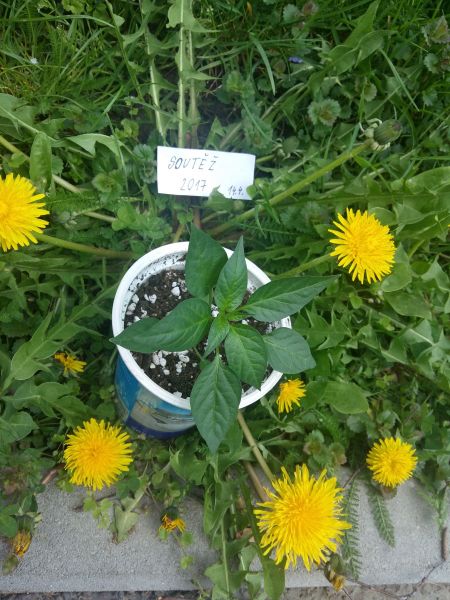 20170414_132451