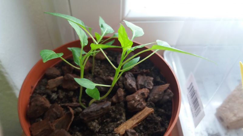 20170417_142244