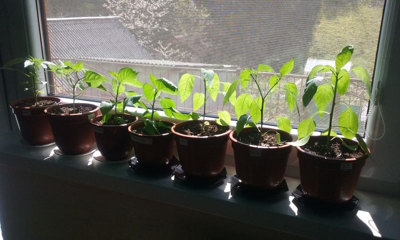 20170421_131408