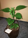 IMG_20170421_225718