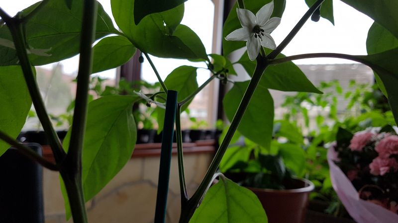 20170427_115241