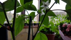 20170427_115241
