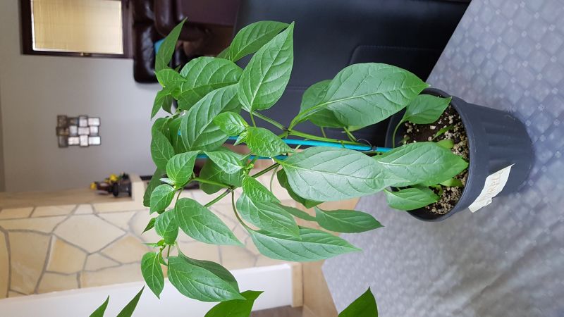 20170427_115259