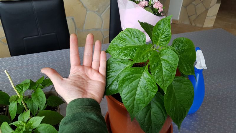 20170427_120745